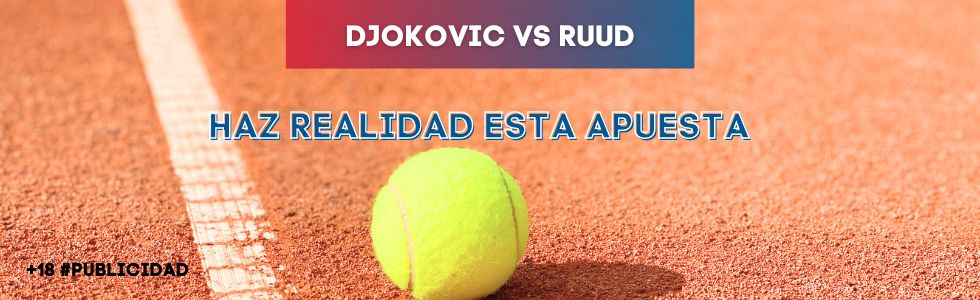 Djokovic vs Ruud